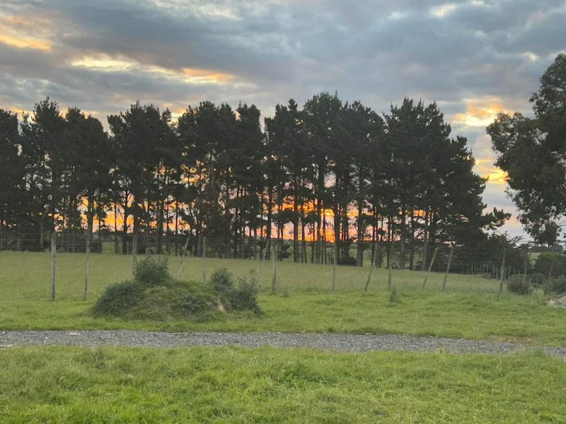 Ross' Campsite