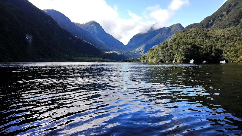 Hall Arm Campsite