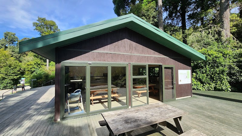Putanui Point Campsite