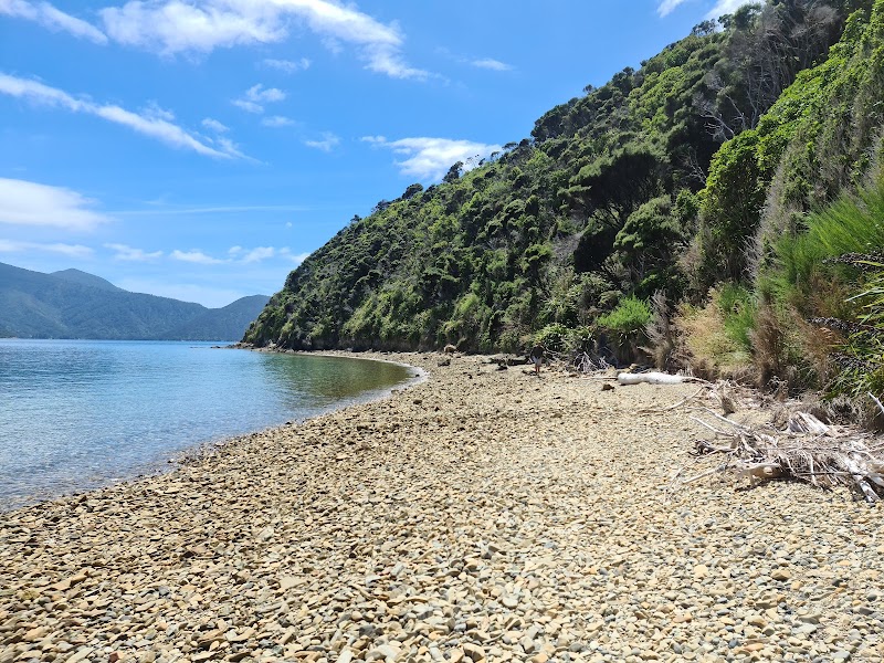 Blumine Island/oruawairua Campsite