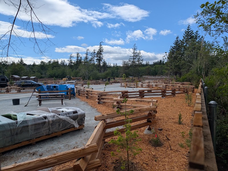 Penguin Bay Campsite
