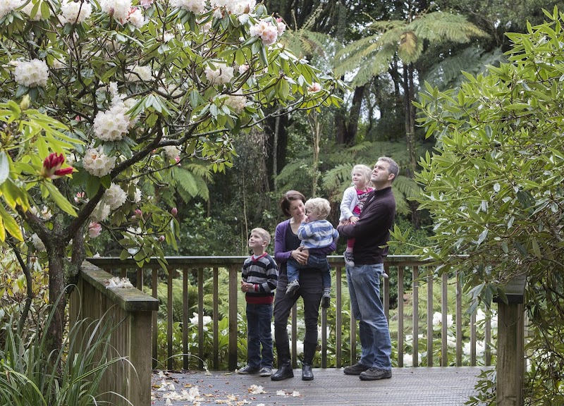Hollard Gardens Freedom Camping