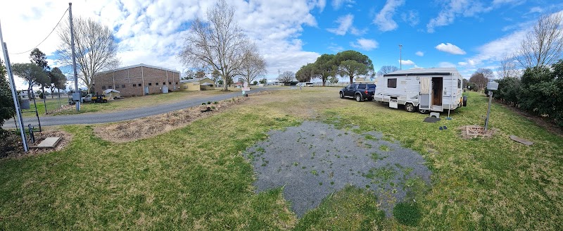 Allora Showground Camping