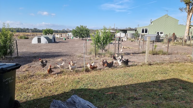 The Hatch Farm - Port Macquarie