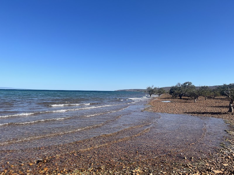 Fitzgerald Bay Bush Camp