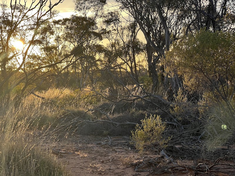 Pooginook Conservation Park