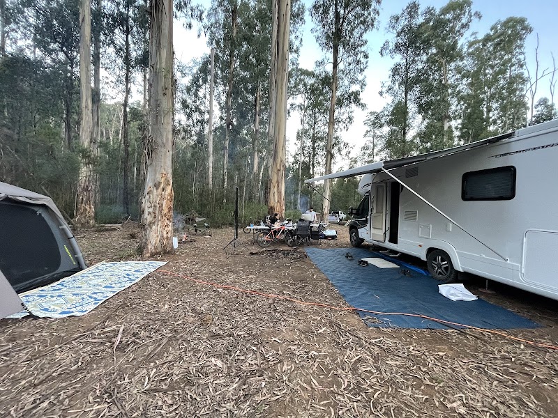 Water Gauge Camp
