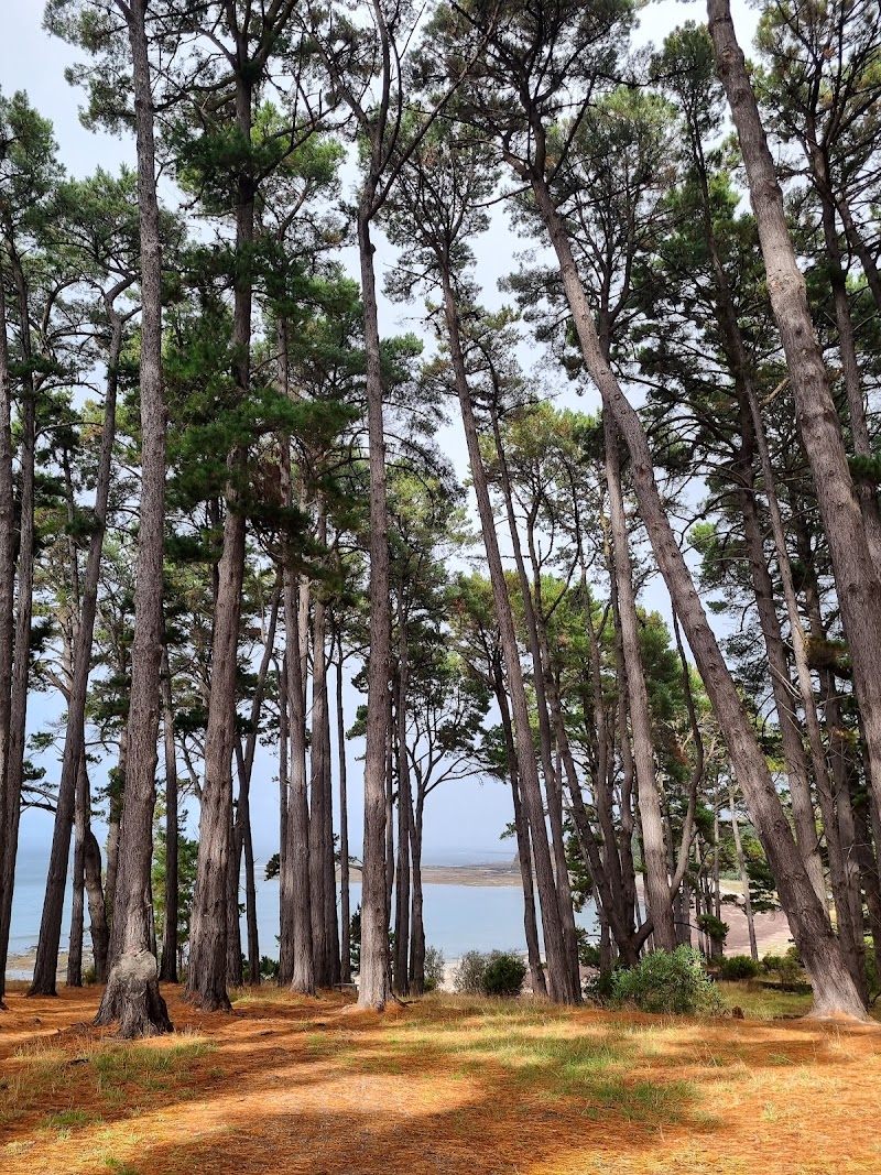 Shoreham Foreshore Reserve