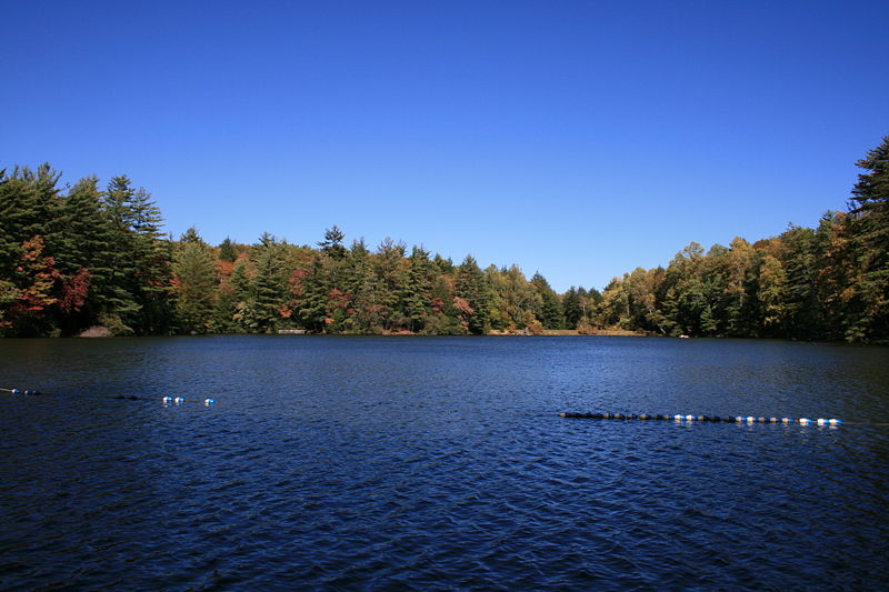 Chattahoochee-Oconee (国家森林)