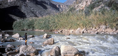 Big Bend National Park