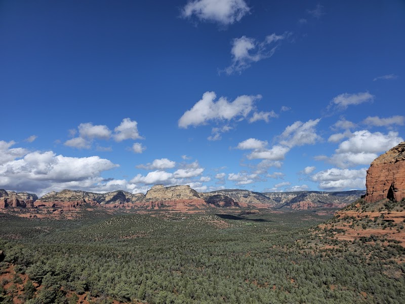 Coconino (国家森林)