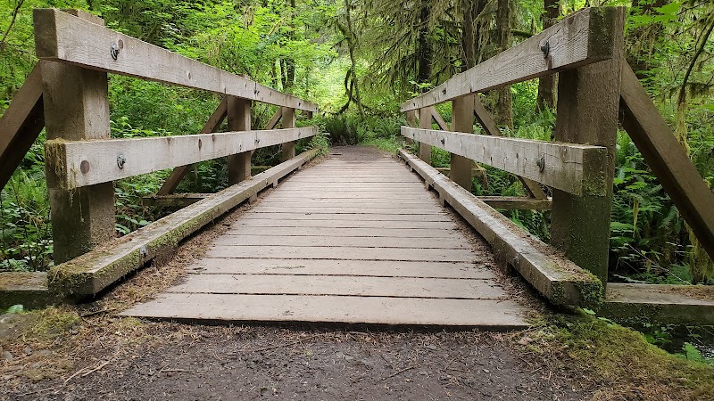 Hoh Rainforest Campground
