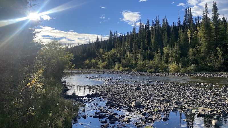 Buckinghorse River Wayside Park省立公园 - Buckinghorse River Campground