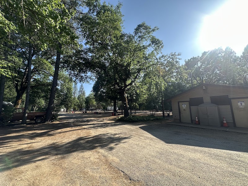 Shasta Campground