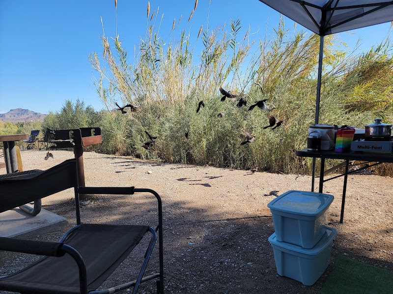 CROSSROADS CAMPGROUND（亚利桑那州）