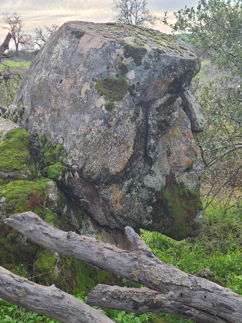 Wildcat Recreation Area Campground（加利福尼亚州）
