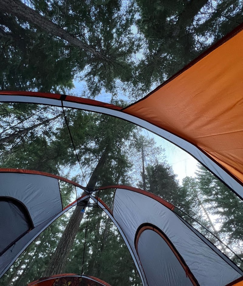CEDAR SPRINGS CAMPGROUND (WA)（华盛顿州）