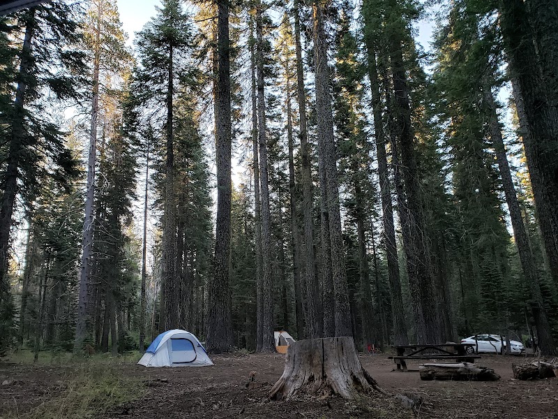WHITEHORSE CAMPGROUND（加利福尼亚州）