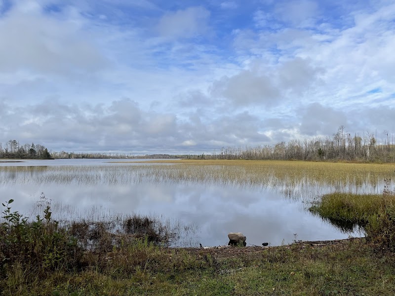McDougal Lake Campground（明尼苏达州）