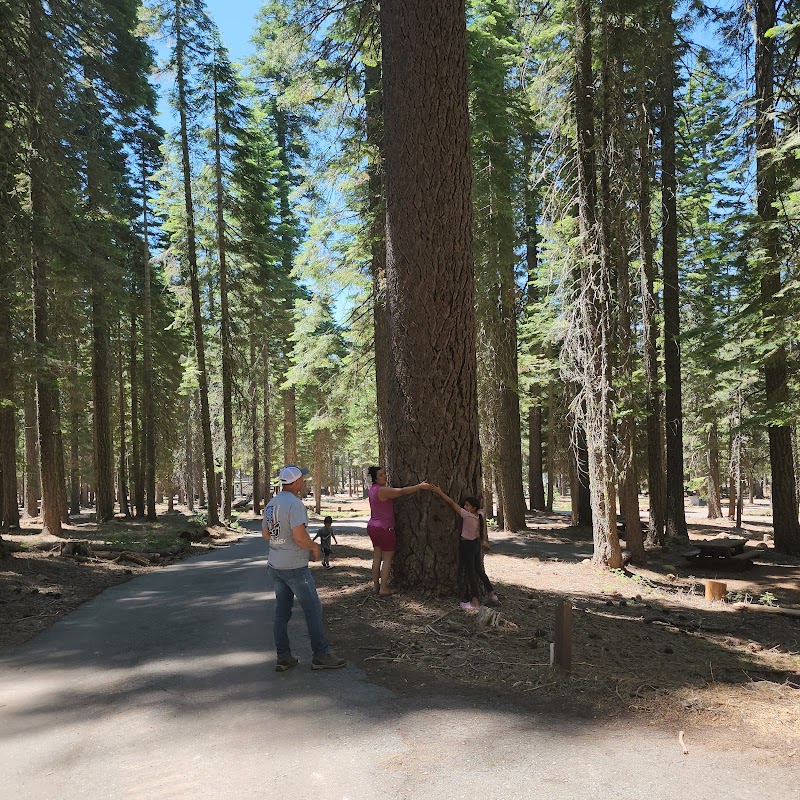RUNNING DEER CAMPGROUND（加利福尼亚州）