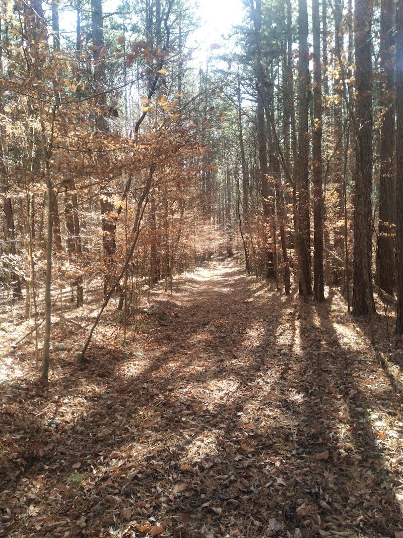 Youngs Creek Campground
