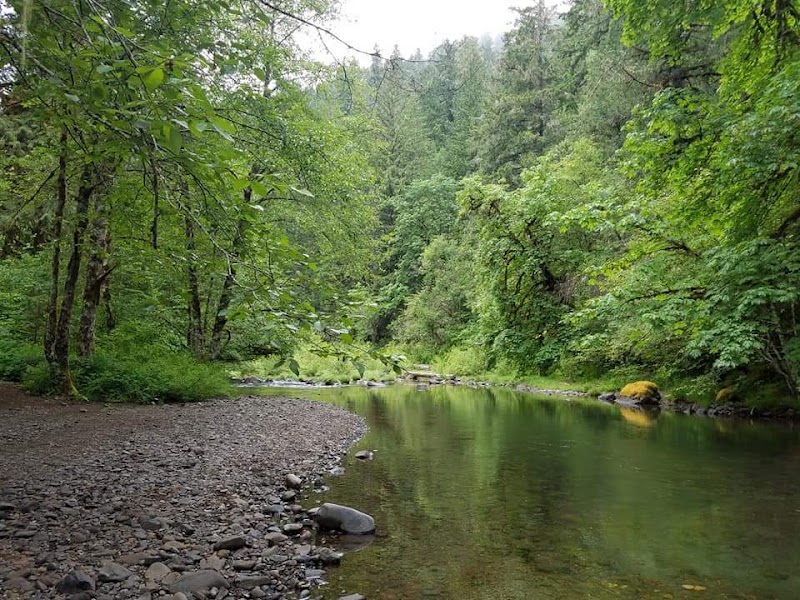 White Creek Campground（俄勒冈州）