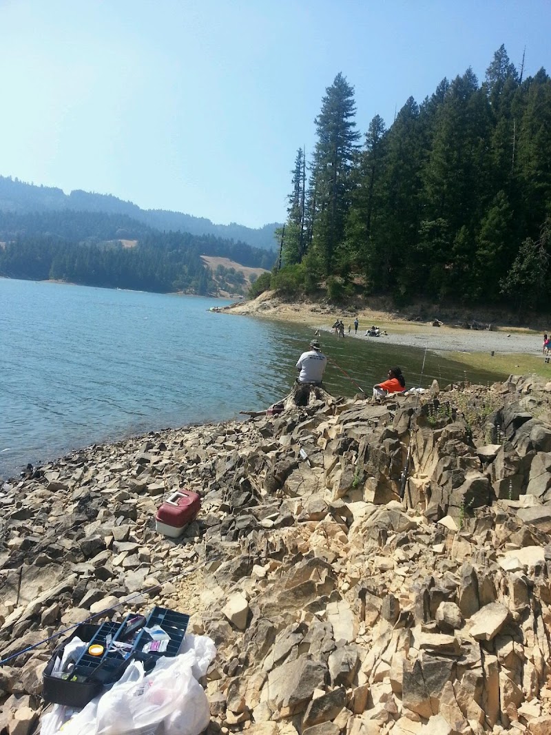 FIR COVE CAMPGROUND（加利福尼亚州）