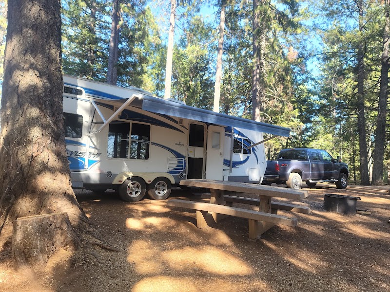 Penny Pines Campground（加利福尼亚州）