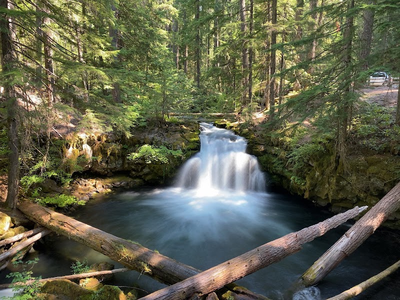 Whitehorse Falls Campground（俄勒冈州）