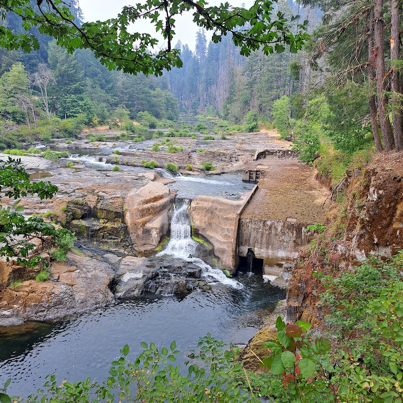 Steamboat Falls Campground（俄勒冈州）