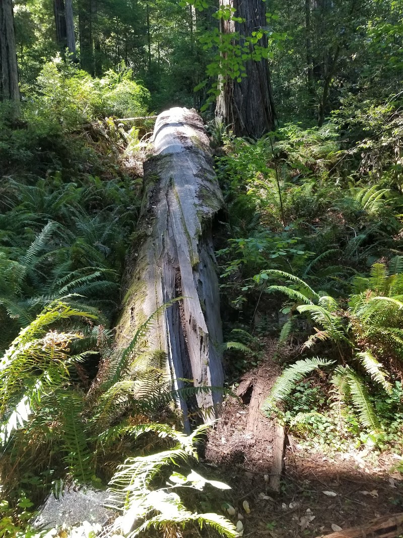 Grizzly Creek Campground (CA)