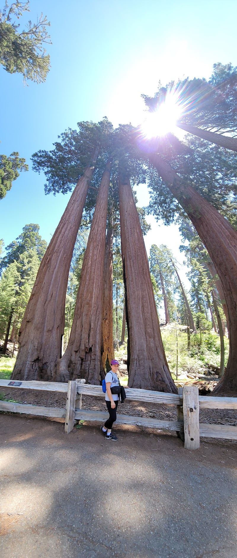 Crystal Springs Campground (CA)（加利福尼亚州）