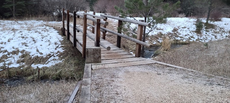 Timon Campground