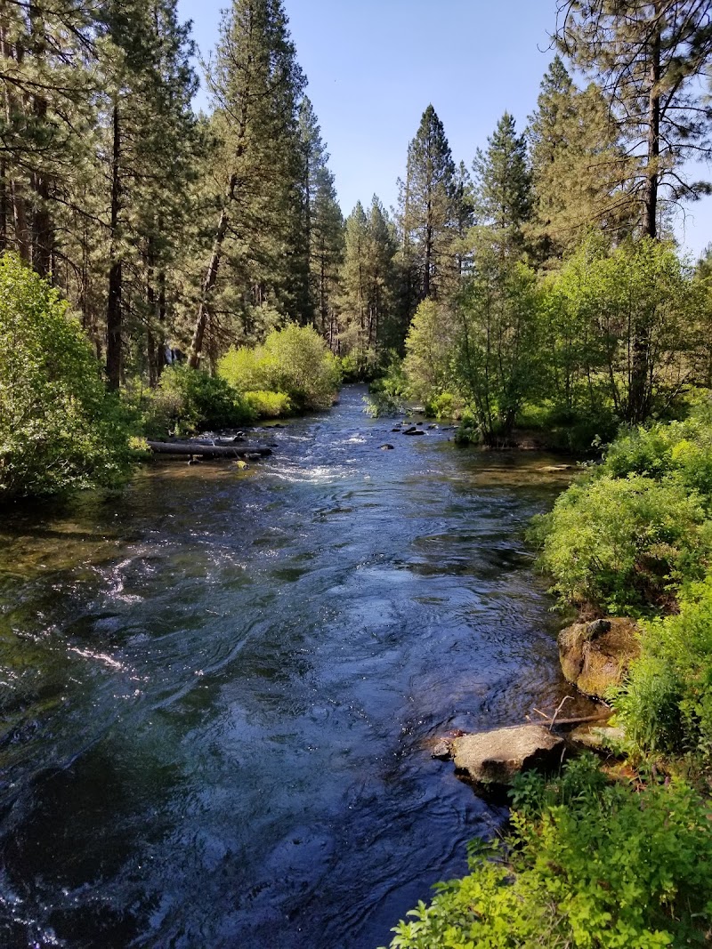 ALLINGHAM CAMPGROUND