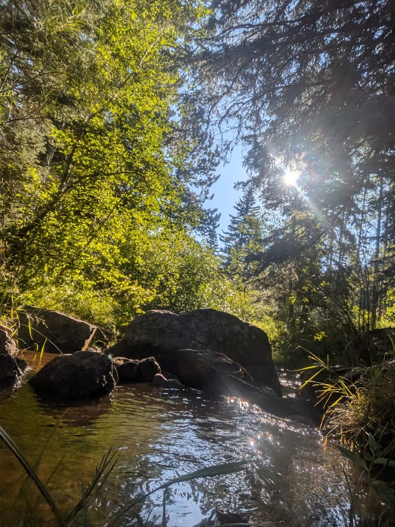 DAVENPORT CAMPGROUND（科罗拉多州）