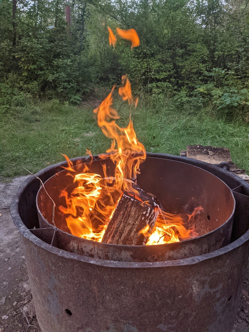 Au Sable Loop Campground（密歇根州）