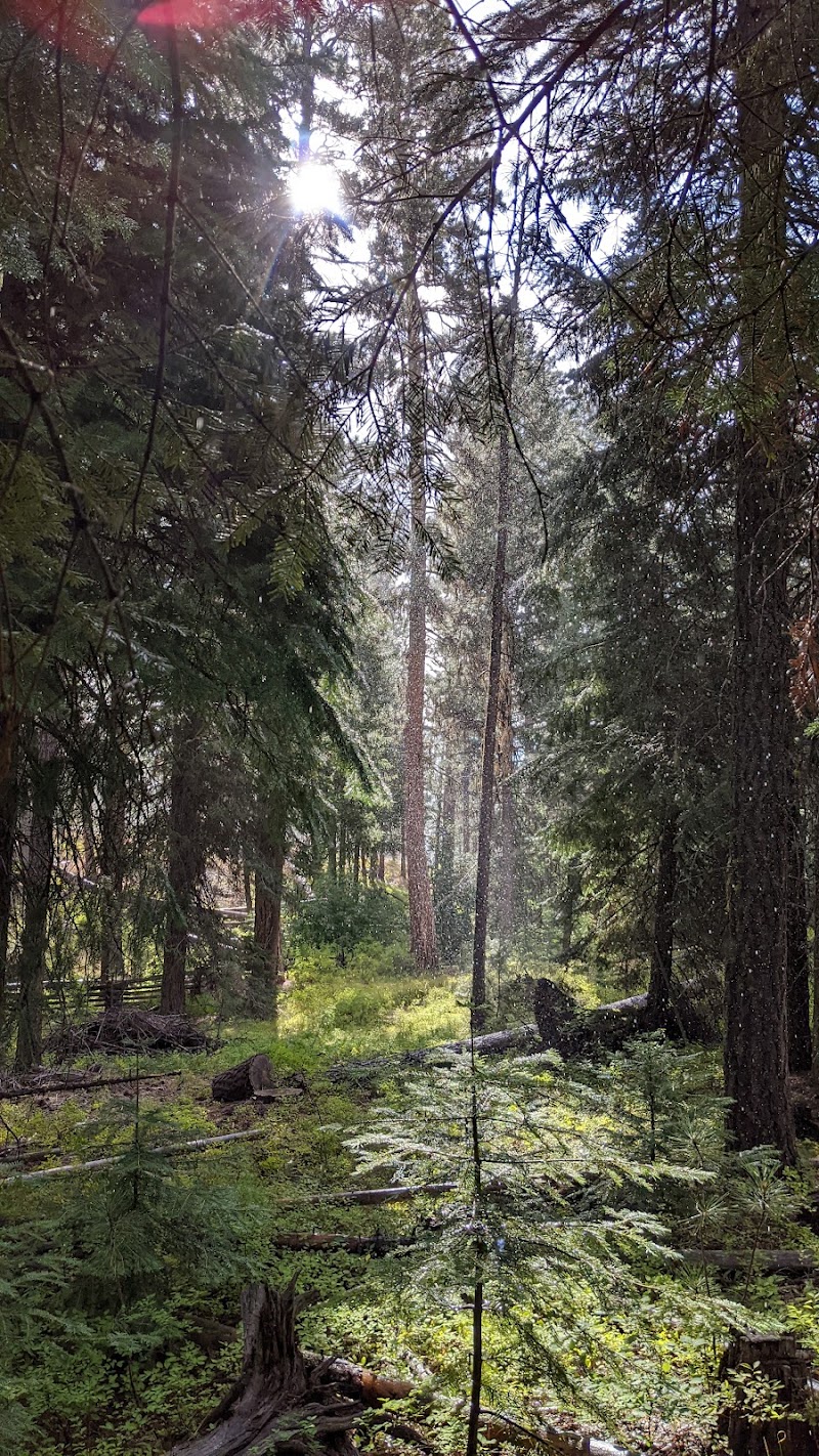 Wetmore Campground（俄勒冈州）