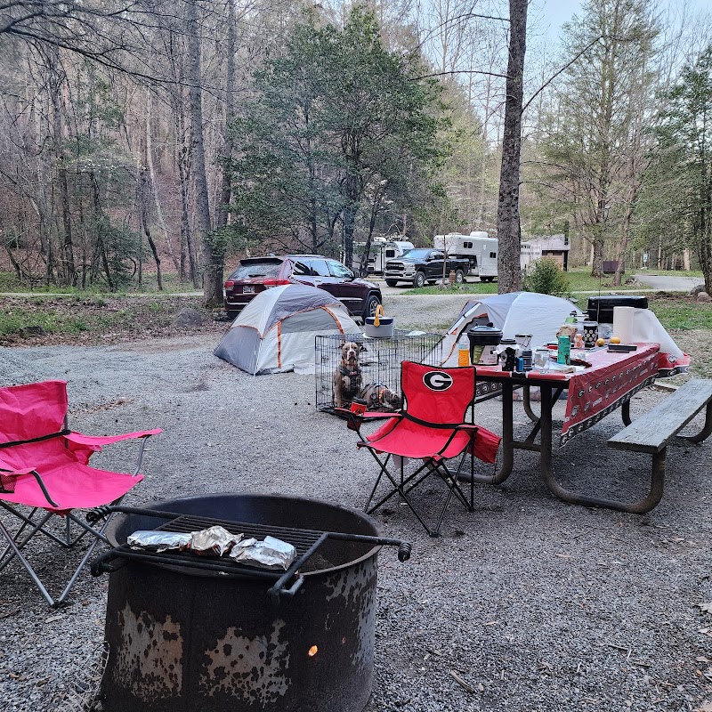 Frank Gross Campground（佐治亚州）