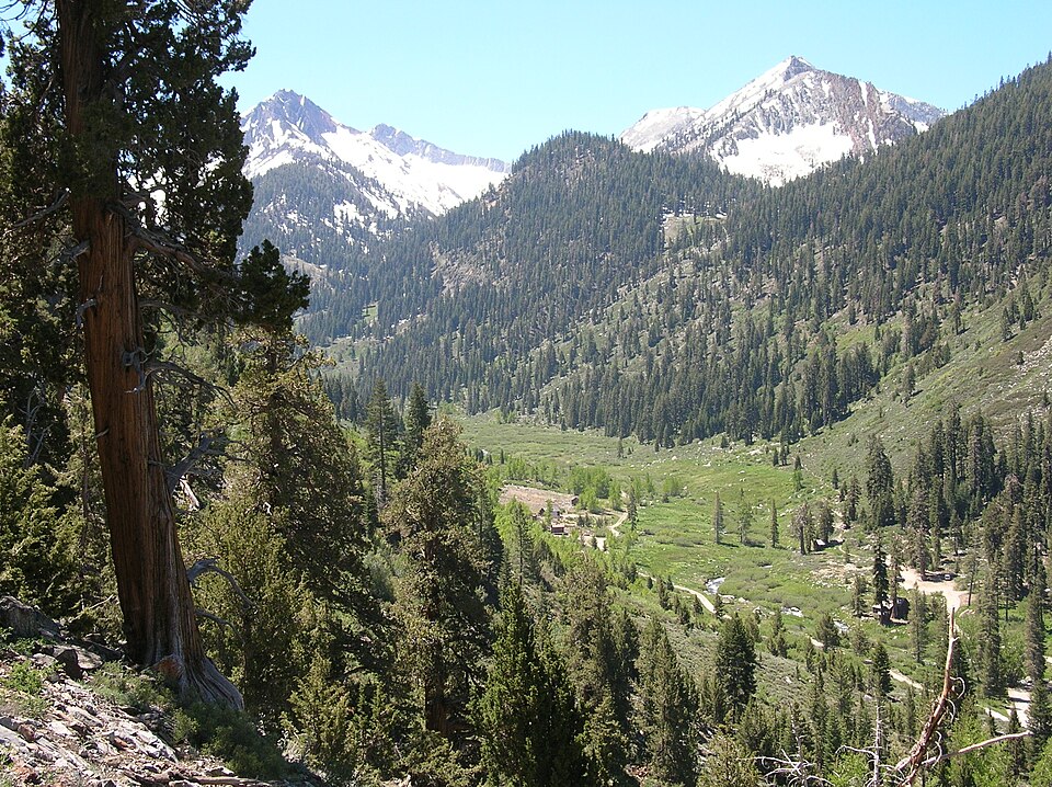 Atwell Mill Campground（加利福尼亚州）