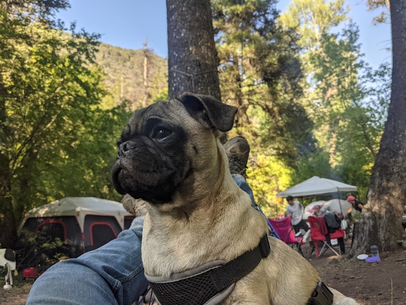 Lower Narrows Campground（犹他州）