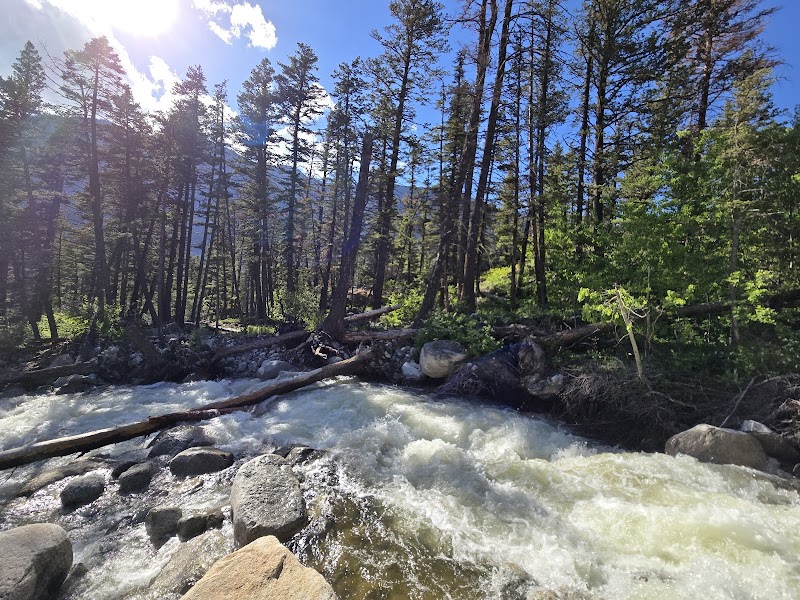 WOODBINE CAMPGROUND