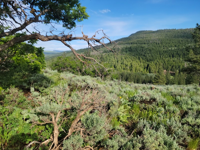 PONDEROSA GROUP CAMPGROUND（犹他州）