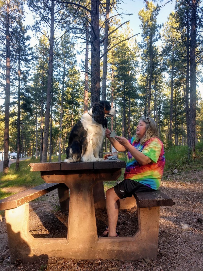 Pactola Reservoir Campground