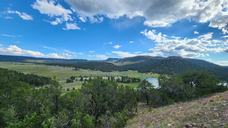 Pinon Campground (Quemado Lake)