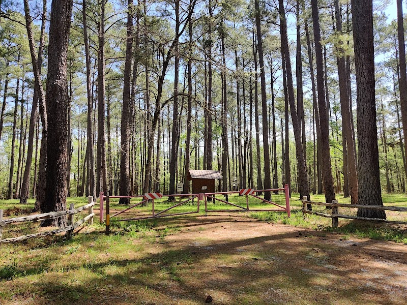 Poulous Loop Group Campground (SC)（南卡罗来纳州）