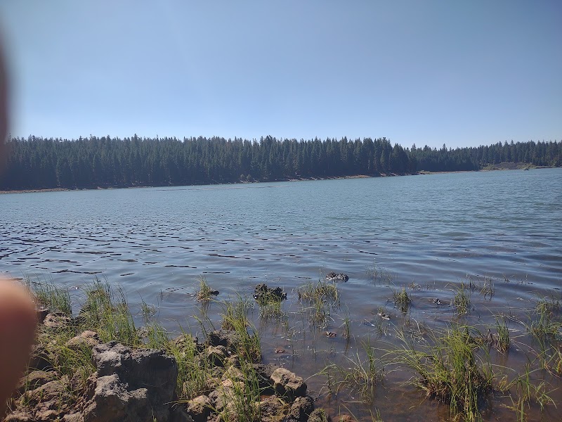 DOE POINT CAMPGROUND（俄勒冈州）