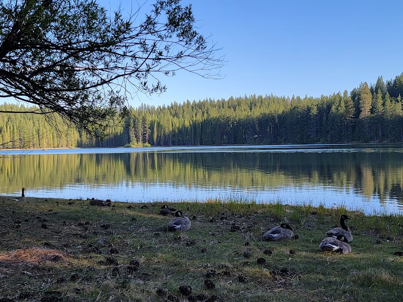 Big Reservoir Campground（加利福尼亚州）
