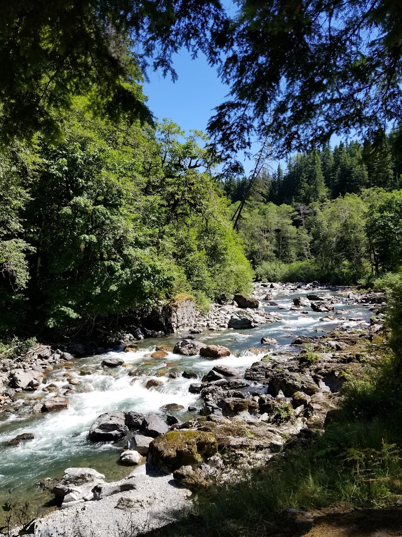 Turlo Campground（华盛顿州）
