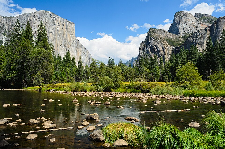 Wawona Campground