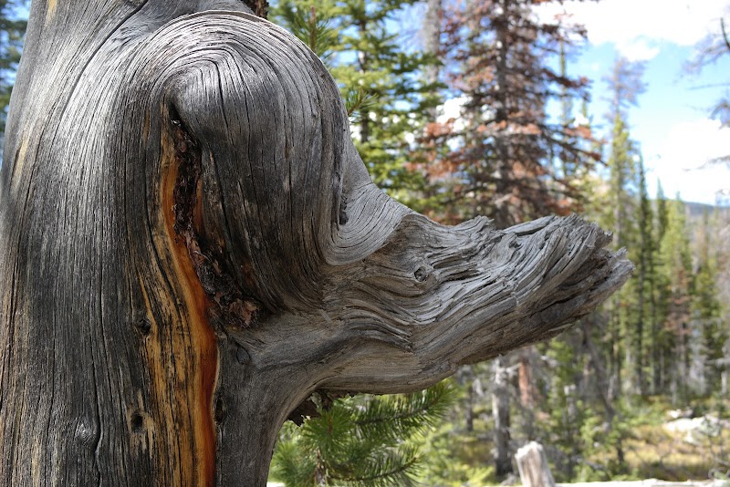 Lilly Lake Campground（犹他州）